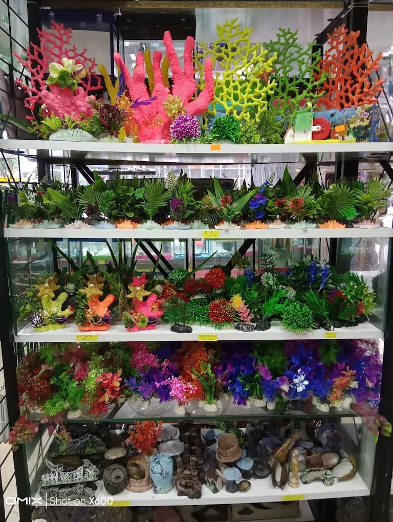 Tokat akvaryum aksesuarları ve ekipmanları