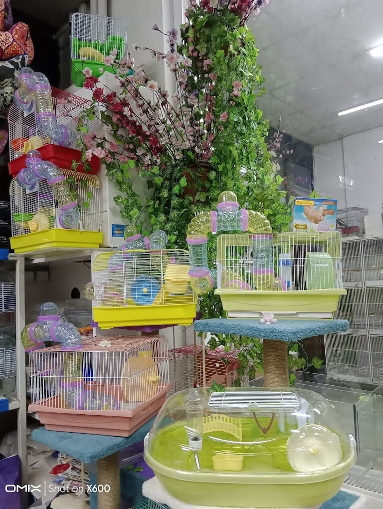 Kuş kafesleri ve aksesuarları Tokat