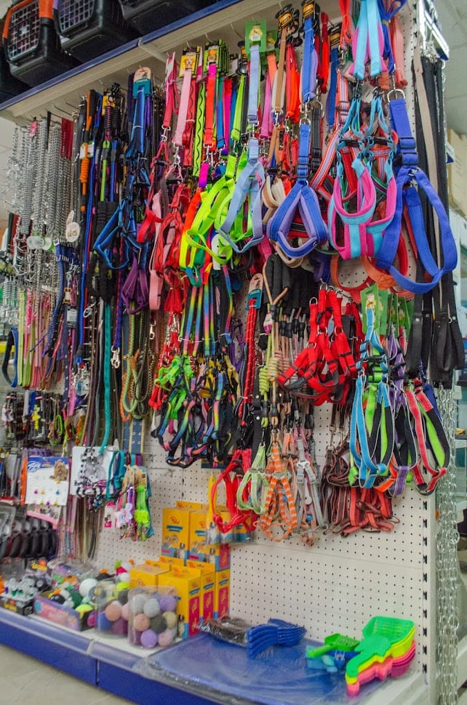 Kedi köpek aksesuar rafı Tokat