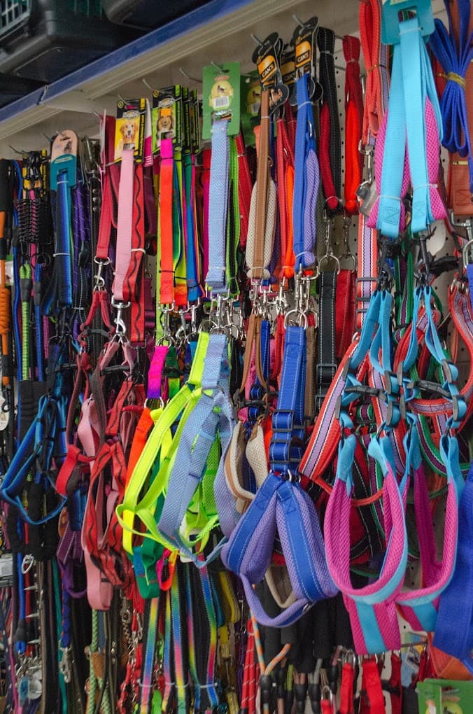 Kedi ve köpek ürünleri Yakamoz Petshop